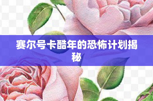 赛尔号卡酷年的恐怖计划揭秘 赛尔号卡酷年的恐怖计划揭秘