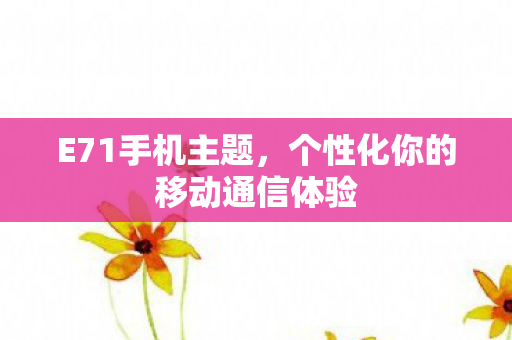 E71手机主题,个性化你的移动通信体验 E71手机主题,个性化你的移动通信体验