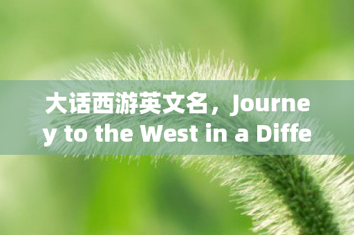 大话西游英文名,Journey to the West in a Different Light 大话西游英文名,Journey to the West in a Different Light