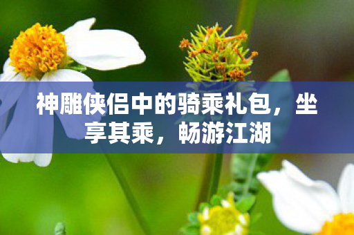 神雕侠侣中的骑乘礼包,坐享其乘,畅游江湖 神雕侠侣中的骑乘礼包,坐享其乘,畅游江湖