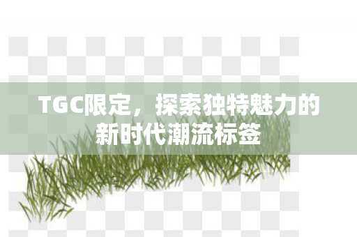 TGC限定，探索独特魅力的新时代潮流标签