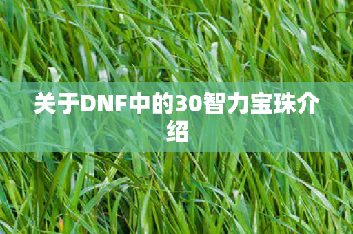 关于DNF中的30智力宝珠介绍