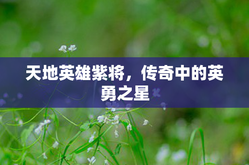 天地英雄紫将,传奇中的英勇之星 天地英雄紫将,传奇中的英勇之星