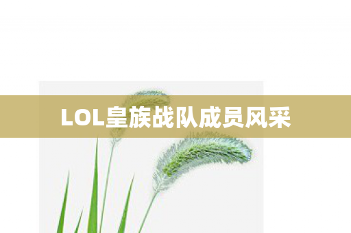 LOL皇族战队成员风采