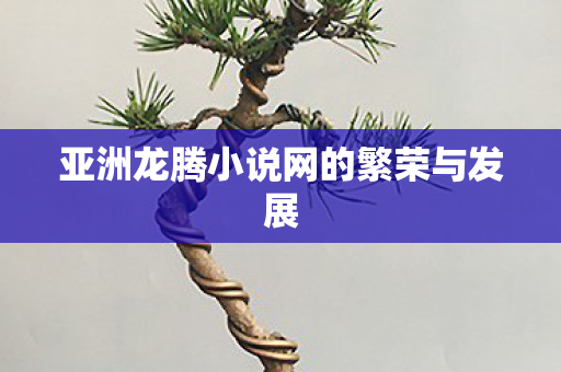 亚洲龙腾小说网的繁荣与发展 亚洲龙腾小说网的繁荣与发展