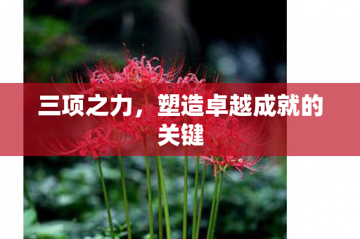 三项之力,塑造卓越成就的关键 三项之力,塑造卓越成就的关键