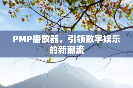 PMP播放器，引领数字娱乐的新潮流