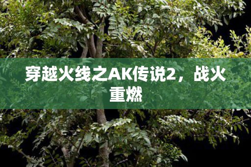 穿越火线之AK传说2，战火重燃