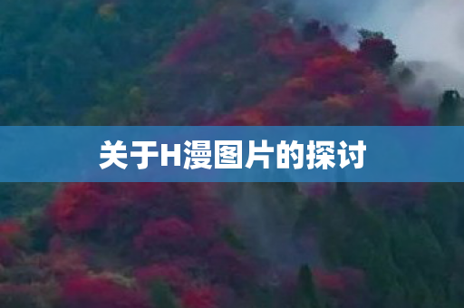 关于H漫图片的探讨