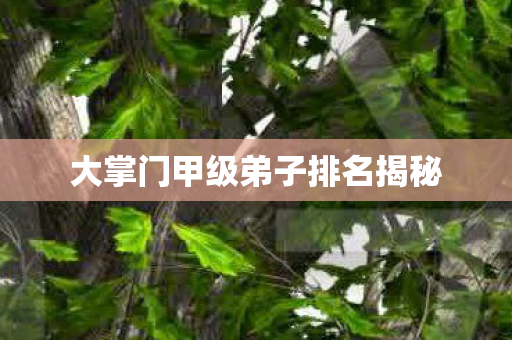 大掌门甲级弟子排名揭秘