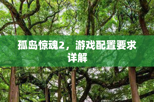 孤岛惊魂2，游戏配置要求详解