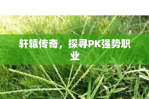 轩辕传奇，探寻PK强势职业