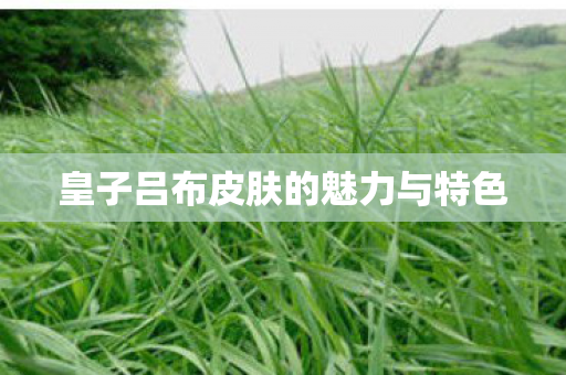 皇子吕布皮肤的魅力与特色