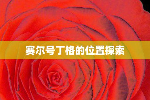 赛尔号丁格的位置探索 赛尔号丁格的位置探索
