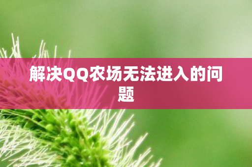 解决QQ农场无法进入的问题