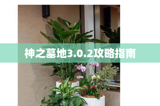 神之墓地3.0.2攻略指南