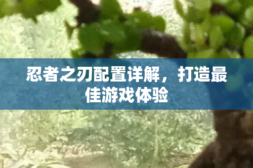 忍者之刃配置详解，打造最佳游戏体验