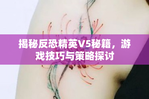 揭秘反恐精英V5秘籍,游戏技巧与策略探讨 揭秘反恐精英V5秘籍,游戏技巧与策略探讨