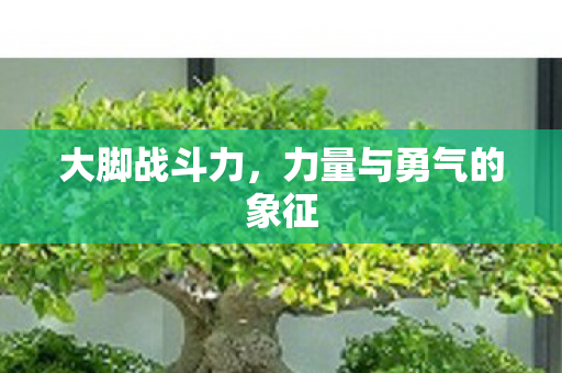 大脚战斗力，力量与勇气的象征