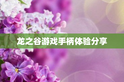 龙之谷游戏手柄体验分享