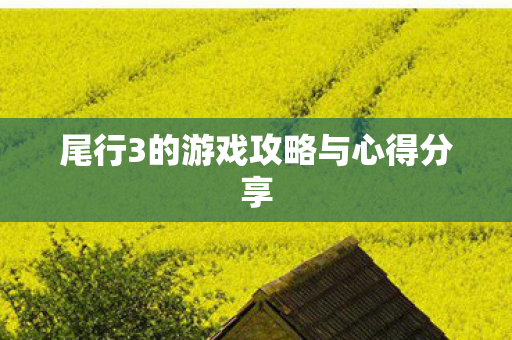 尾行3的游戏攻略与心得分享