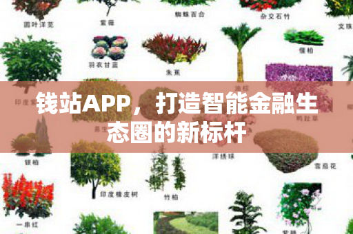 钱站APP,打造智能金融生态圈的新标杆 钱站APP,打造智能金融生态圈的新标杆