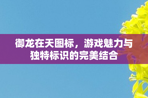 御龙在天图标，游戏魅力与独特标识的完美结合