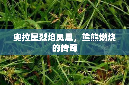 奥拉星烈焰凤凰,熊熊燃烧的传奇 奥拉星烈焰凤凰,熊熊燃烧的传奇