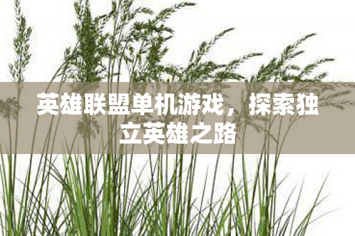 英雄联盟单机游戏，探索独立英雄之路