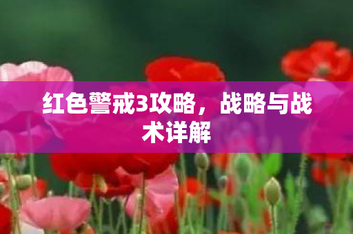 红色警戒3攻略，战略与战术详解