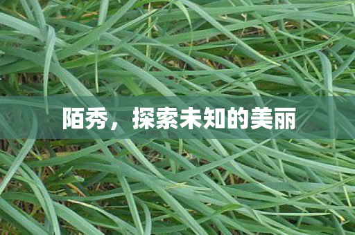 陌秀，探索未知的美丽