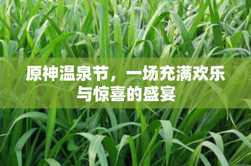原神温泉节，一场充满欢乐与惊喜的盛宴