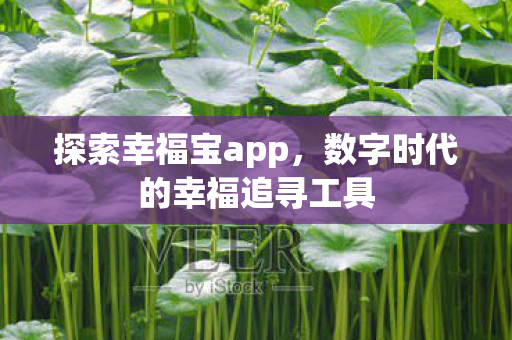 探索幸福宝app，数字时代的幸福追寻工具