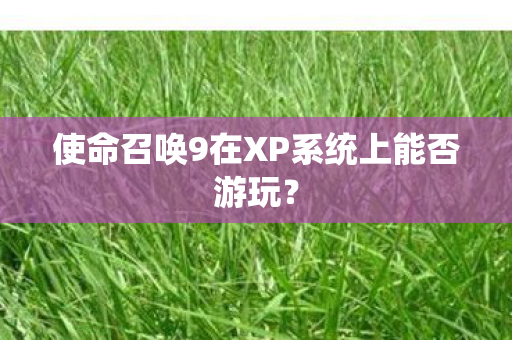 使命召唤9在XP系统上能否游玩？