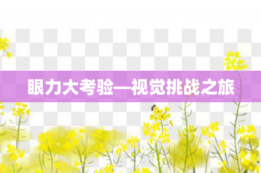 眼力大考验—视觉挑战之旅 眼力大考验—视觉挑战之旅