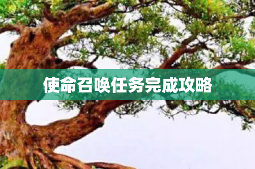 使命召唤任务完成攻略