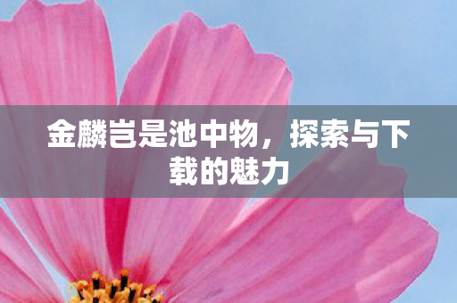 金麟岂是池中物，探索与下载的魅力