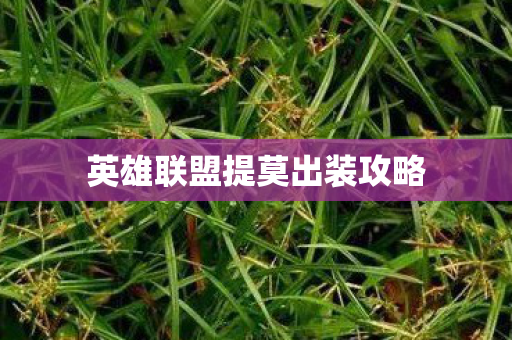 英雄联盟提莫出装攻略 英雄联盟提莫出装攻略