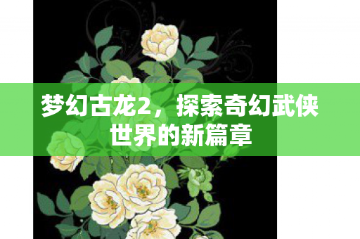 梦幻古龙2，探索奇幻武侠世界的新篇章