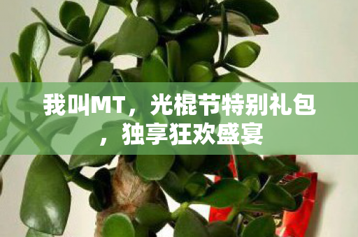 我叫MT，光棍节特别礼包，独享狂欢盛宴