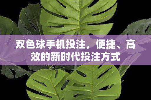 双色球手机投注，便捷、高效的新时代投注方式