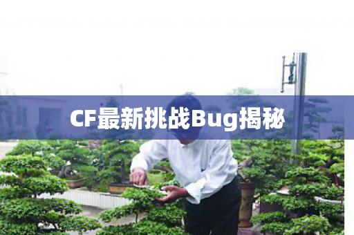 CF最新挑战Bug揭秘 CF最新挑战Bug揭秘