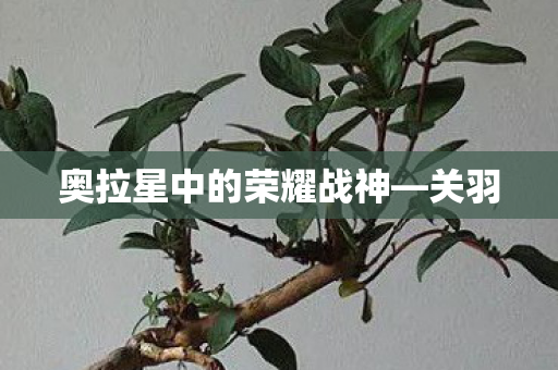 奥拉星中的荣耀战神—关羽