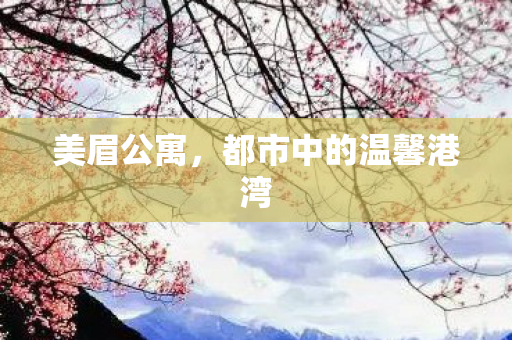 美眉公寓，都市中的温馨港湾