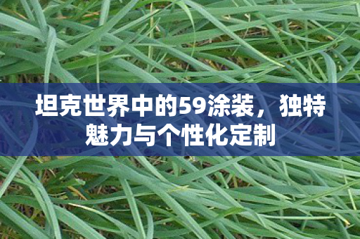 坦克世界中的59涂装,独特魅力与个性化定制 坦克世界中的59涂装,独特魅力与个性化定制