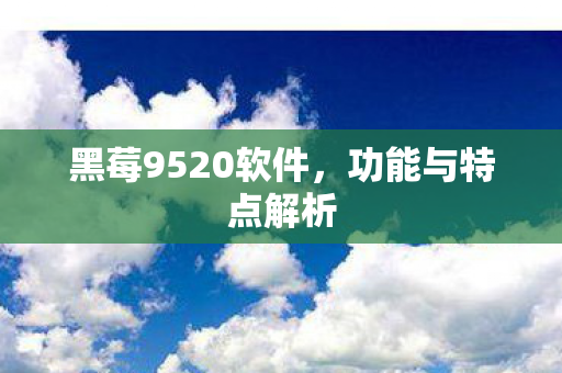 黑莓9520软件，功能与特点解析