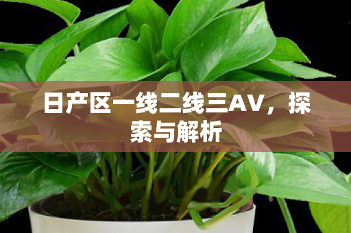 日产区一线二线三AV，探索与解析