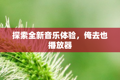 探索全新音乐体验，俺去也播放器