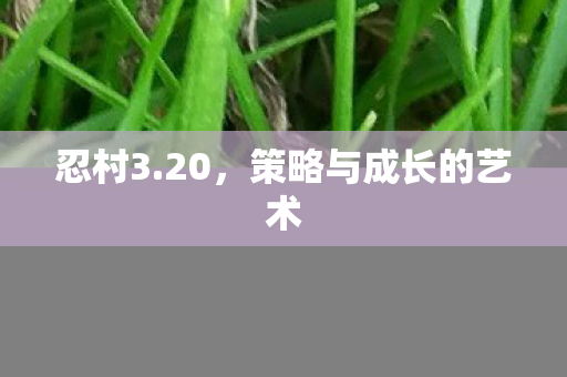 忍村3.20，策略与成长的艺术