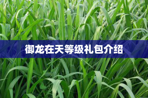 御龙在天等级礼包介绍